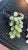 Mid 20th Century Mid 20th Century Pink & Green Quartz Grapes Clusters- Set of 2 For Sale - Image 5 of 6