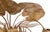 Water Lily Chandelier from Maison Jansen, 1970s For Sale - Image 11 of 12