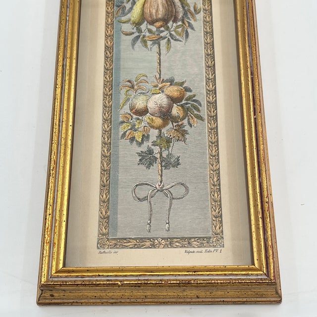 Vintage Hand Colored Engraving Old World European Fruit Swag For Sale - Image 15 of 18