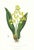 Large 1973 Orchid Flower Lithograph "Oncidium Cavendishianum (The Duke of Devonshire's Oncidium)" After James Bateman For Sale