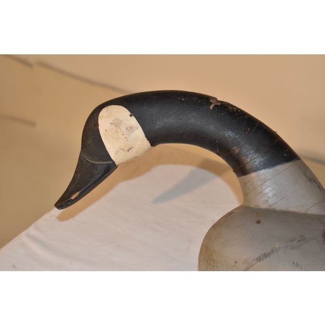 Gray 1930's Havre De Grace Canadian Goose Decoy For Sale - Image 8 of 15