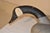 Gray 1930's Havre De Grace Canadian Goose Decoy For Sale - Image 8 of 15