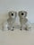 Adorable pair of Staffordshire pottery Poodles figures. Lovely size slightly smaller than what is usually seen.