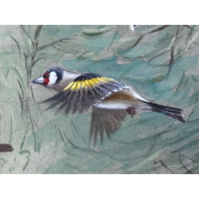 A Winter Gathering: Robin and Mixed British Songbirds — Original Watercolor on Paper in the Tradition of Archibald Thorburn For Sale - Image 10 of 18
