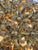 Bloom Metallic S1 Gold Hanging Lamp from Kartell, 2007 For Sale - Image 3 of 8
