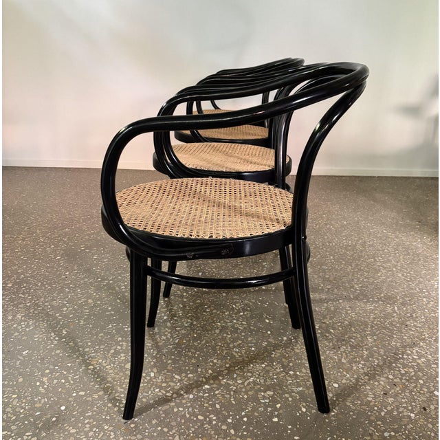 Model B9/209 Armchairs, 1970s, Set of 4 For Sale - Image 6 of 14