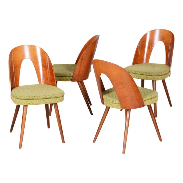 Mid-Century Chairs in Walnut attributed to Antonín Šuman, Czech, 1950s, Set of 4 For Sale