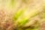 'In the Pink' Set of Botanical Photographs, Series of Four 18 X 12" Fine Art Photography Prints For Sale - Image 10 of 15