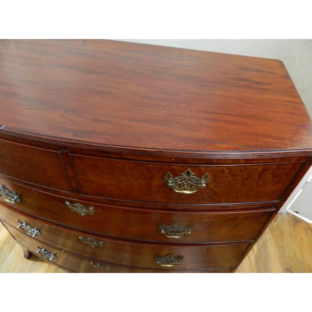 Regency Mahogany Bow Front Chest of Drawers For Sale - Image 15 of 18