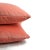 Not Yet Made - Made To Order Kate Spade Calmative in Persimmon Velvet Pillow Cover - 20" X 20" Light Pink Velvet Cushion Case For Sale - Image 5 of 8