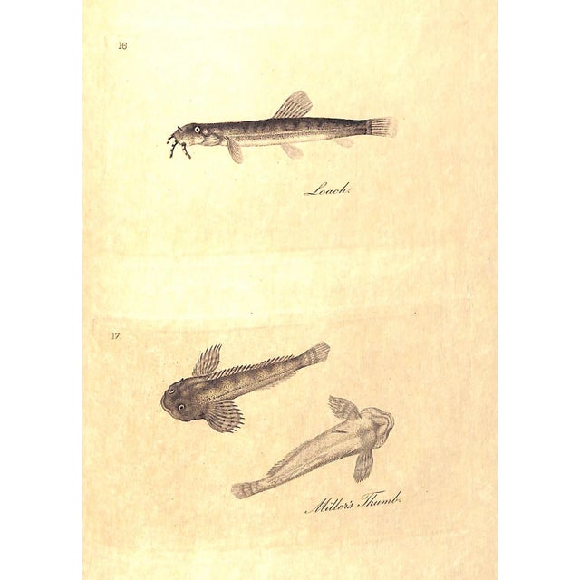 "Walton's Angler Vol. I & Ii" 1863 Walton, Izaak and Cotton, Charles For Sale - Image 10 of 12