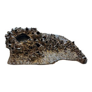 Mid Century Biomorphic Pottery Coral Reef