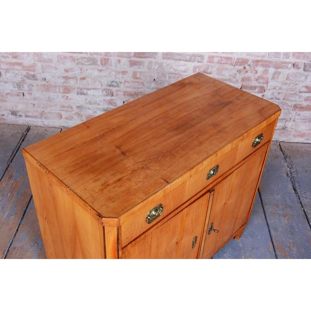 Biedermeier Cabinet in Cherry, Spruce & Ebony, Czech, 1820s For Sale - Image 15 of 18