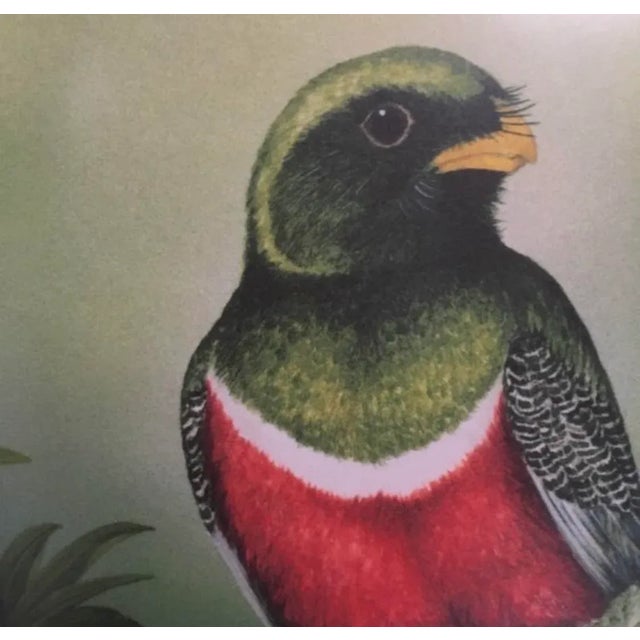 "Morning Mist" Lithograph by John M. Matyas For Sale In New York - Image 6 of 10