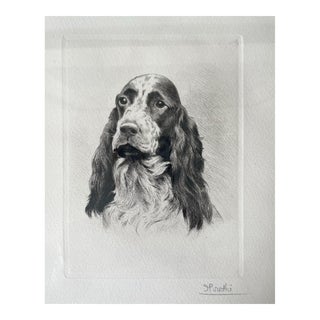 Vintage Portrait of an English Setter Sign by the Artist For Sale