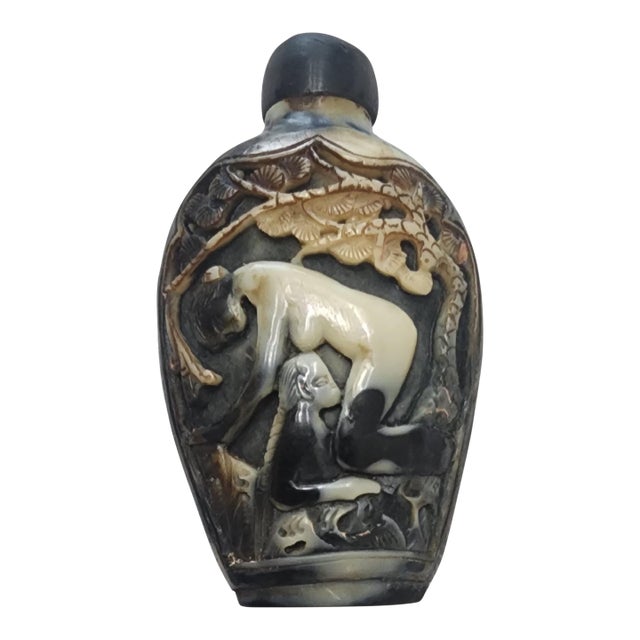 Vintage Chinese Erotic Snuff Bottle With Overlay Carved For Sale