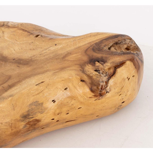 Wood Modern Live Edge Teak Burl Wood Coffee Table For Sale - Image 7 of 8
