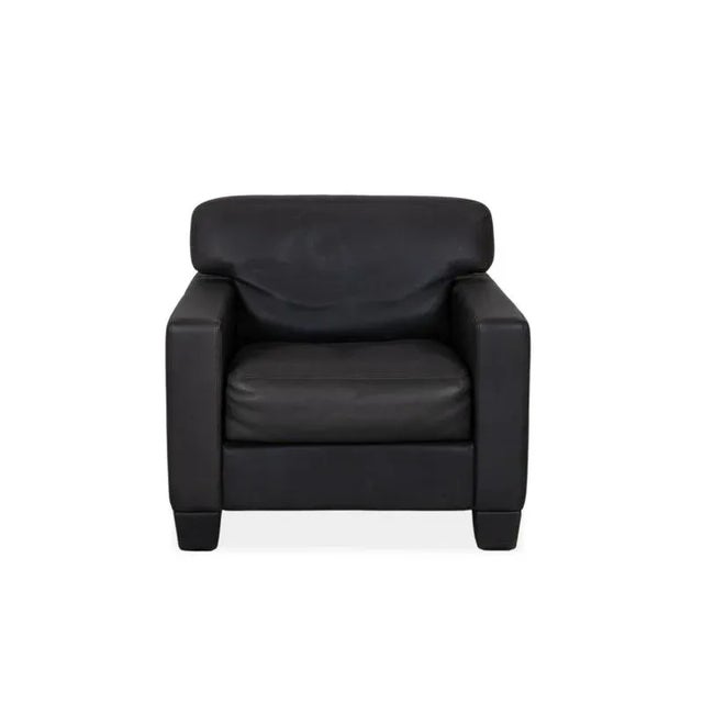 Animal Skin De Sede Ds 17 / Wk 612 Leather Armchair Black For Sale - Image 7 of 11