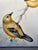Antique Handpainted Warbler Tile, Signed Betty Smith