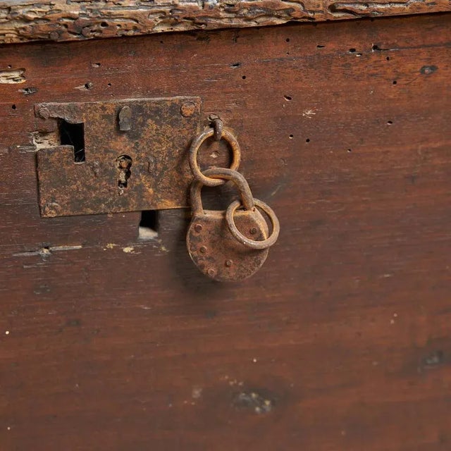 Wood Trunk in Walnut, 1800s For Sale - Image 7 of 8