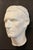 Early 20th Century Vintage Italian Plaster Roman Head – Grand Tour Souvenir. For Sale - Image 5 of 5