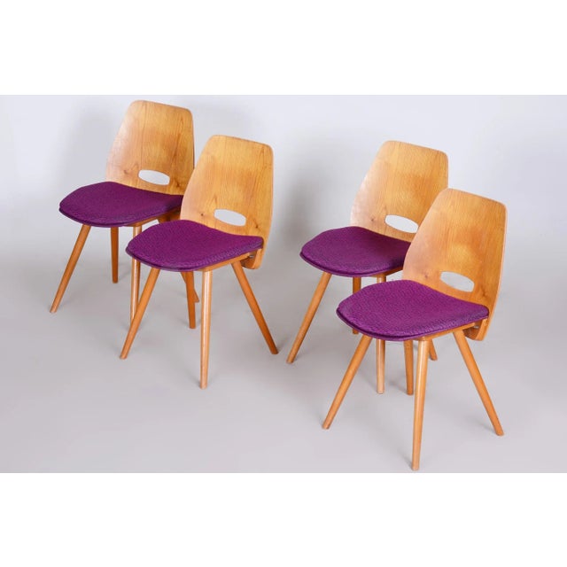 1950s Mid-Century Dining Chairs attributed to František Jirák for Tatra, 1950s, Set of 4 For Sale - Image 5 of 11
