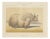 Borie, Male Yak, from Borie's Farm Animals, 1863, Chromolithograph For Sale