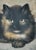 Folk Art Mid 19th Century Tortoiseshell Cat Oil Painting For Sale - Image 3 of 5