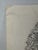 1940s Original Signed Graphite Illustration of Boy With Dog and Christmas Wreath, 12 × 9.5 In. For Sale - Image 4 of 6