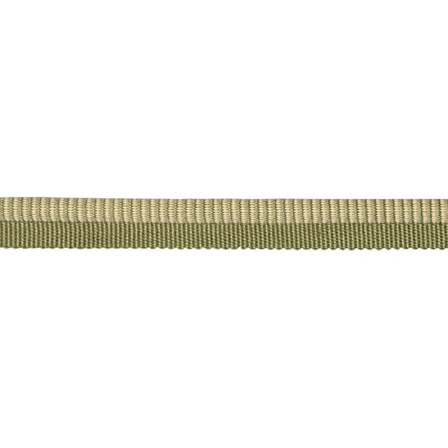Schumacher Seville Ribbed Cord Trim In Green For Sale
