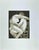 Lovers I is an original etching, realized by Giacomo Manzù in 1970. Hand Signed. numbered, Edition of 31/125 prints....