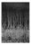 Paul Cooklin, Stubble, Study IV, Occold, Suffolk, 2011, Edition of 50 For Sale