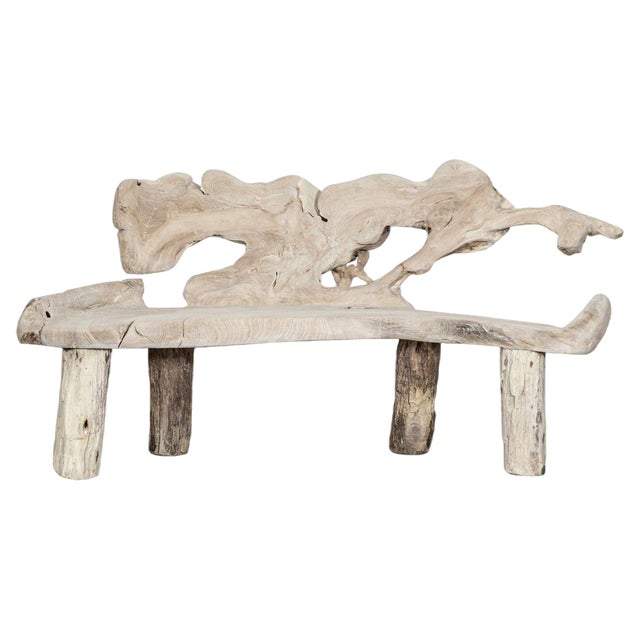 Large English Bleached Teak Root Bench | Chairish