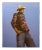 Late 20th Century "Navajo Cowboy" Contemporary Native American Lithograph Print by Ed Singer For Sale