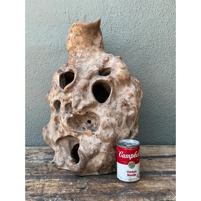 Wood Vintage Organic Wood Knot Sculpture For Sale - Image 7 of 12