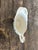 1900 - 1909 Antique "King Edward" Semi-Porcelain Gravy Boat For Sale - Image 5 of 7