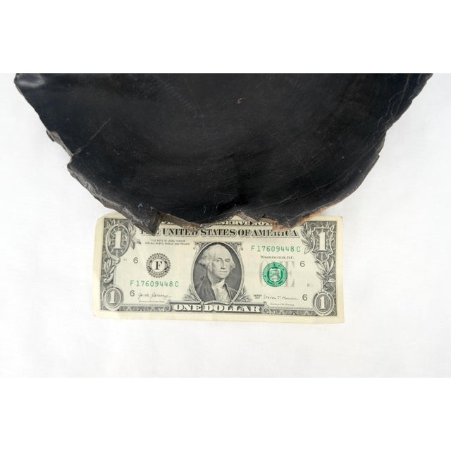 Wood Petrified Wood Liver Shape Solid Black Elongated Bowl Dish Large Plate Ashtray For Sale - Image 7 of 7