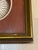 Vintage Framed Nautilus Seashell For Sale In New Orleans - Image 6 of 11