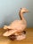 This vintage Italian terracotta duck sculpture brings a quietly naturalistic presence to a room. Carefully crafted with...