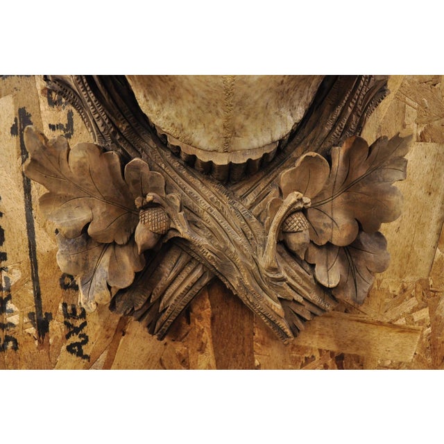 Antique Black Forest Victorian Wall Mounted Taxidermy Large Deer Skull & Antlers For Sale - Image 17 of 17