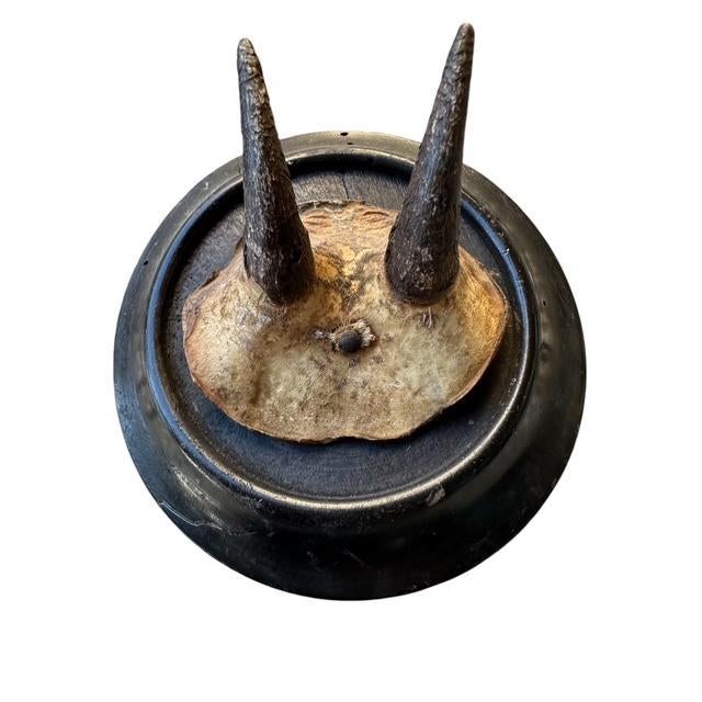 Antique Mini Chamois Horn Goat Trophy Rd1 Black Forest Roe Deer For Sale - Image 4 of 5