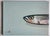 An impressionist oil painting a sardine head, by Vivek Mandalia. Frame and hang in your home. 30 x 40 cm 12 x 16 Inches...