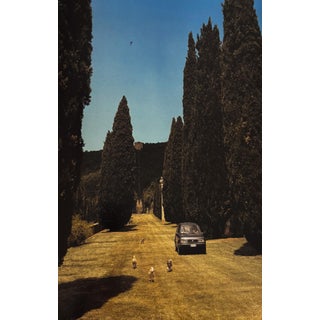 Vogue Living: Houses, Gardens, People (Vogue Lifestyle Series) by Hamish Bowles (Introduction), Calvin Klein (Foreword) For Sale