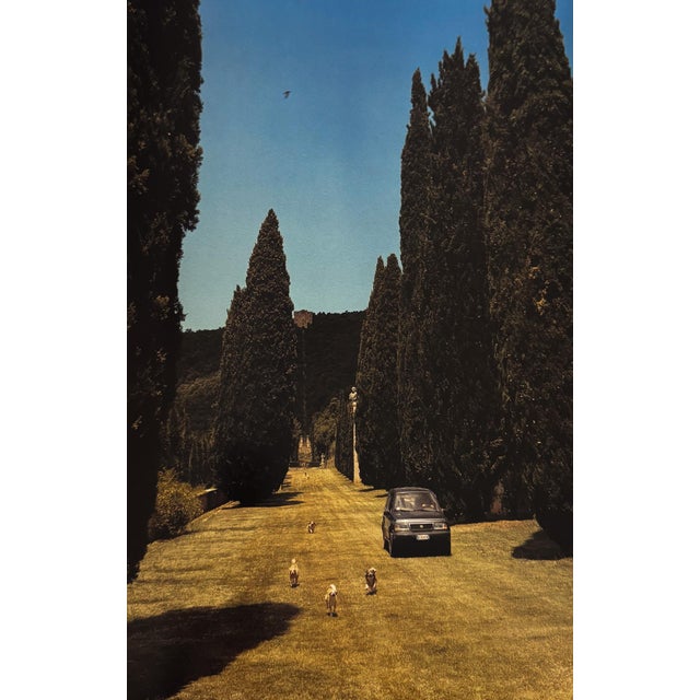 Vogue Living: Houses, Gardens, People (Vogue Lifestyle Series) by Hamish Bowles (Introduction), Calvin Klein (Foreword) For Sale