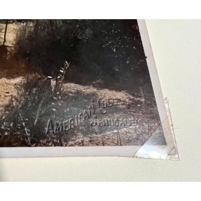 The mat measures 21 X 16 the images are around 12 X 9 inches. They bear the blindstamp of the American Colony Jerusalem. I...