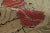 Antique Hooked Rug With Rose Bouquet Medallion & Vine Border - Rug & Kilim For Sale In New York - Image 6 of 7