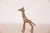 Vintage African Small Copper Giraffe For Sale - Image 4 of 5
