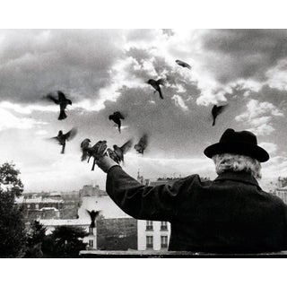 Monsieur V. Photograph For Sale