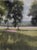 Fields of Pink captures a serene landscape where soft hues of pink and green blend harmoniously. The watercolor technique...