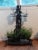 Early 20th Century Solid 68" Tall Black Heavy Solid Wrought Iron Plant Pot Holder Stand For Sale In Atlanta - Image 6 of 10